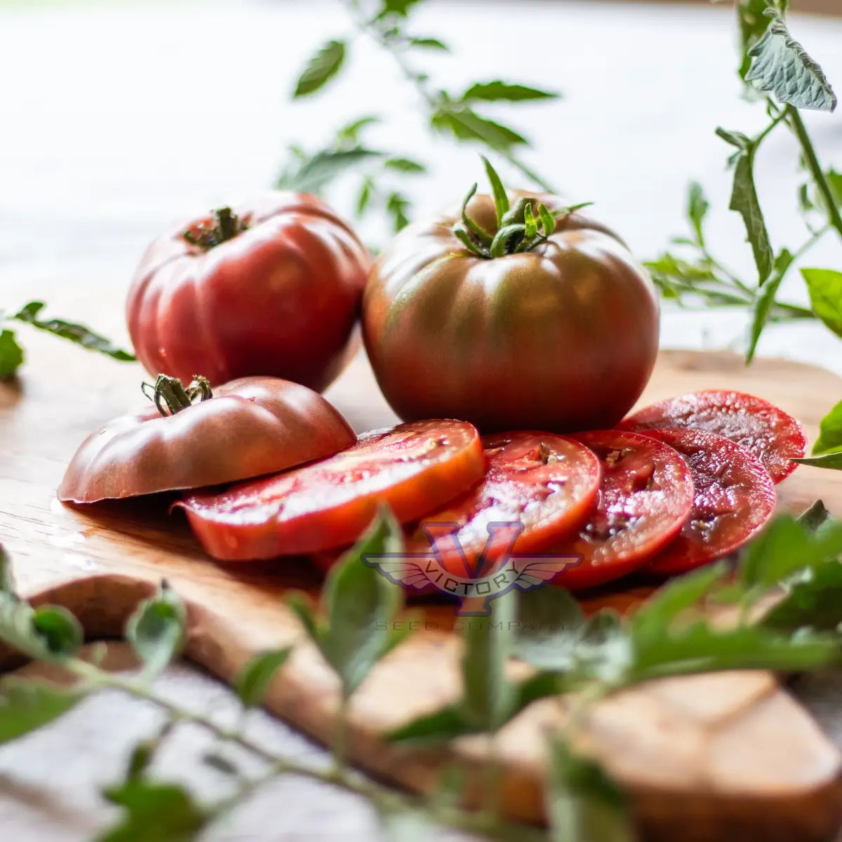 Cherokee Carbon F1 Tomato