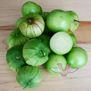 Rio Grande Verde Tomatillo