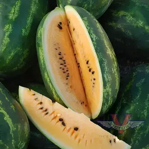 Mountain Sweet Yellow Watermelon