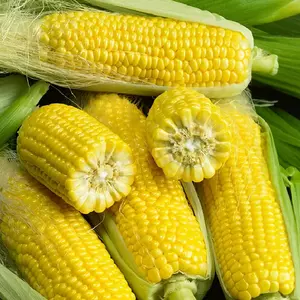 Corn