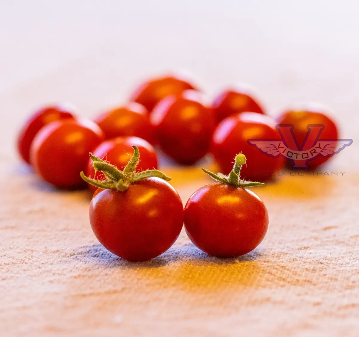 Dwarf Irma's Highland Cherry Tomato