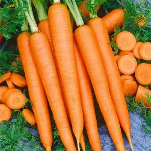 Henderson's Tendersweet Carrot
