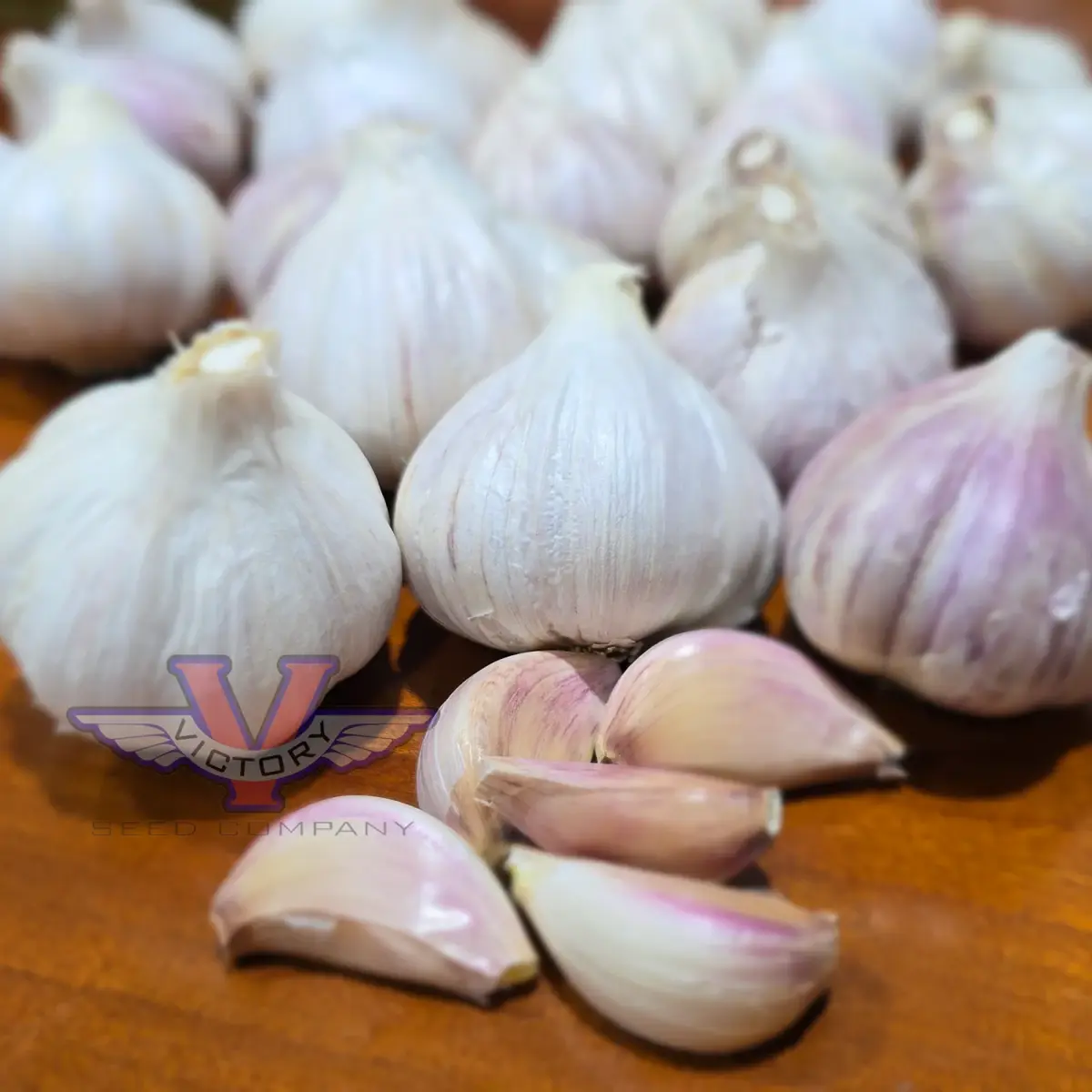 Duganski Garlic (Hardneck)