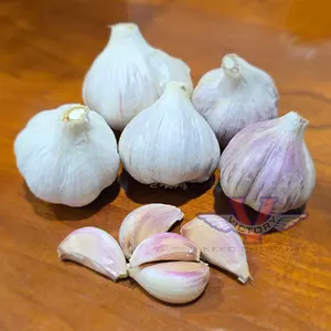 Duganski Garlic (Hardneck)