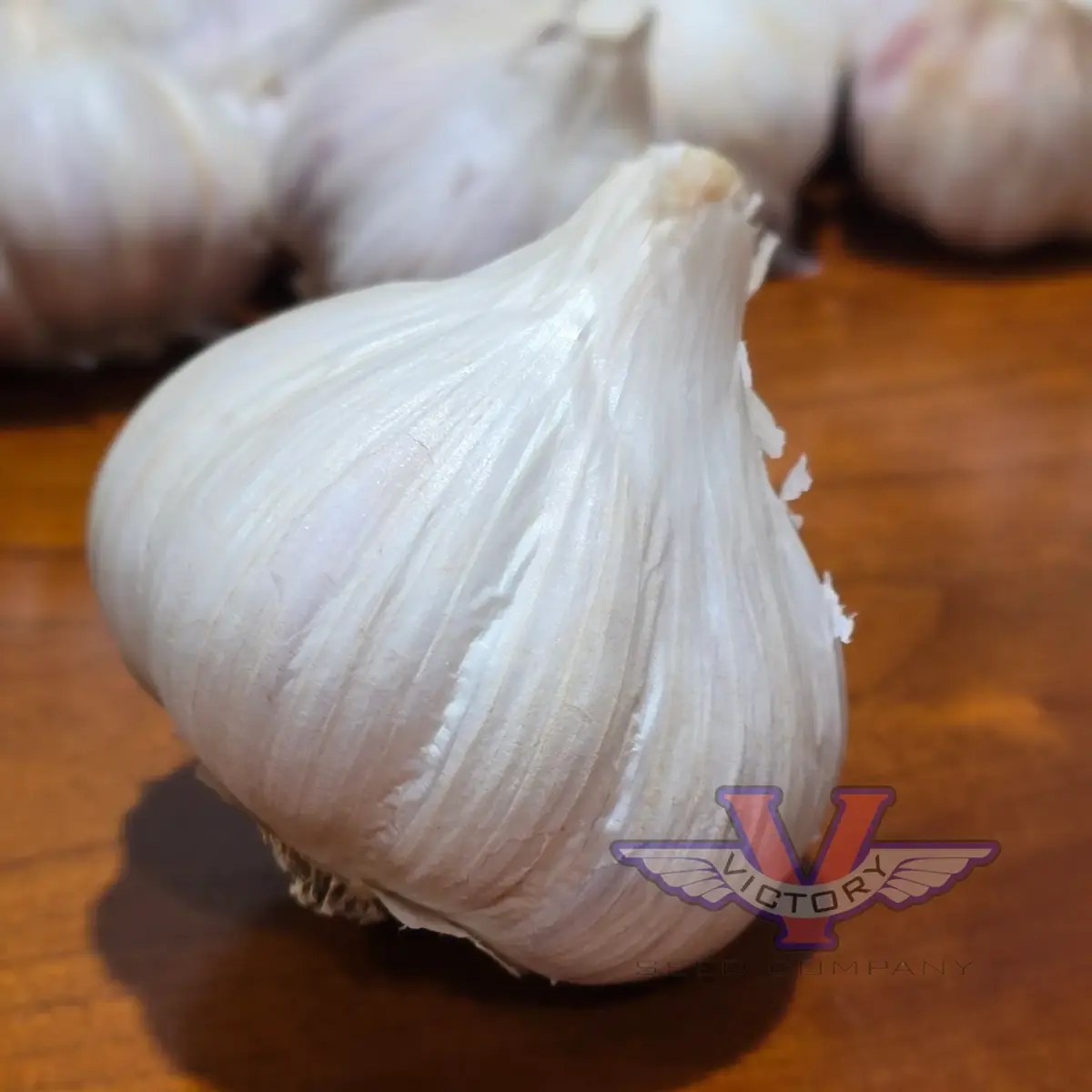 Music Garlic (Hardneck)