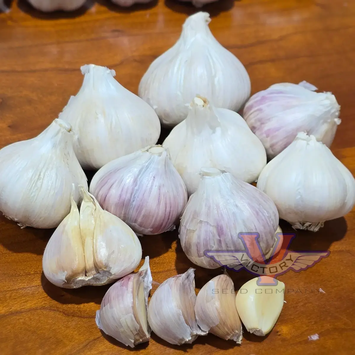 Music Garlic (Hardneck)