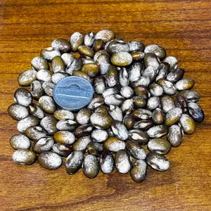 Turkey Craw Pole Garden Bean