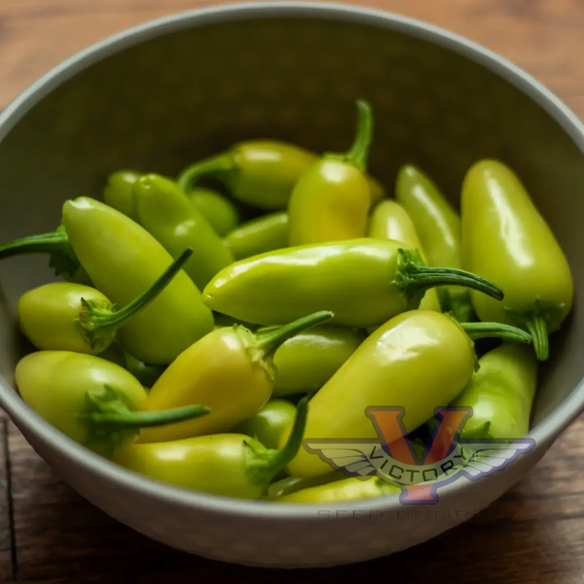Jaloro Jalapeno Pepper