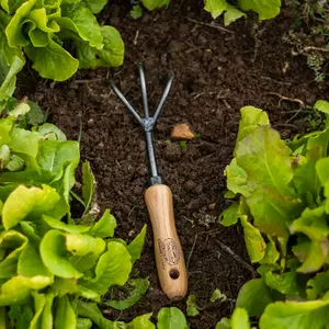 DeWit 3-Tine Hand Cultivator