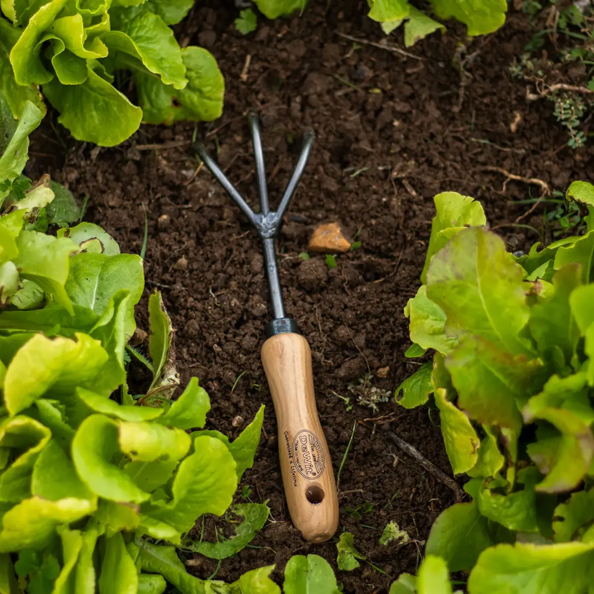 DeWit 3-Tine Hand Cultivator