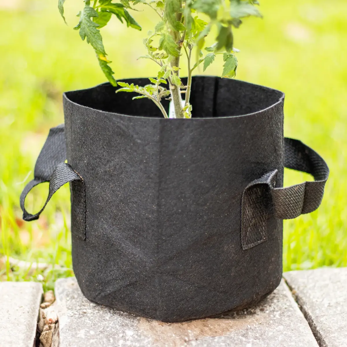 Fabric Cloth Grow Bags (5 pack)