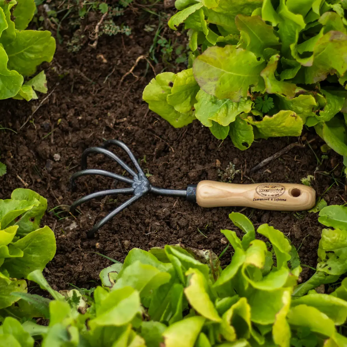 DeWit 5-Tine Hand Cultivator