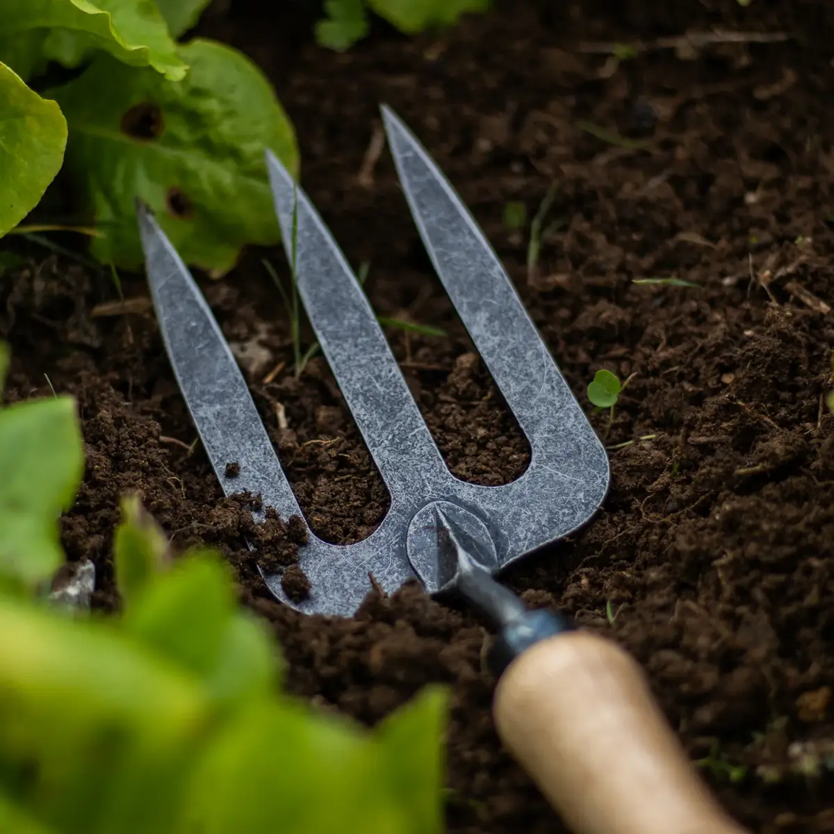 DeWit Forged Hand Fork