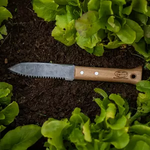 DeWit Serrated Farmer Dagger