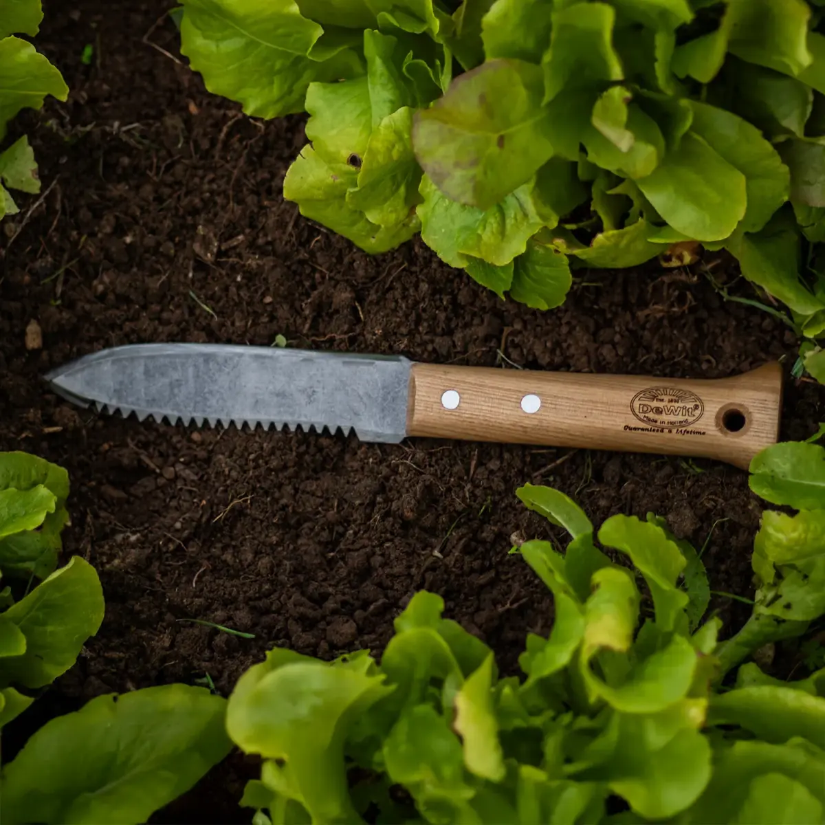 DeWit Serrated Farmer Dagger