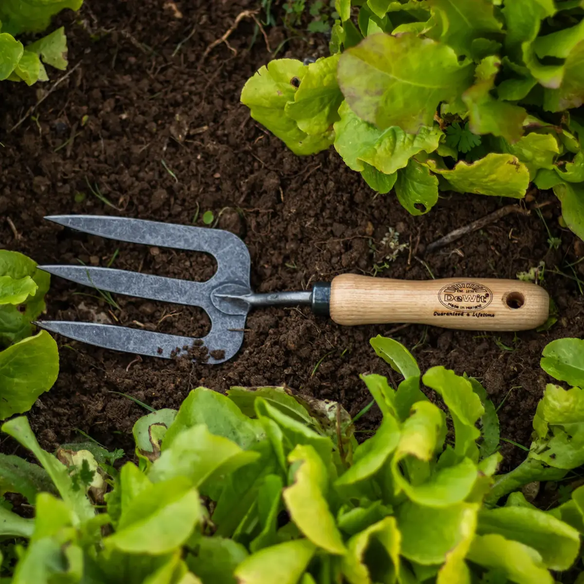 DeWit Forged Hand Fork