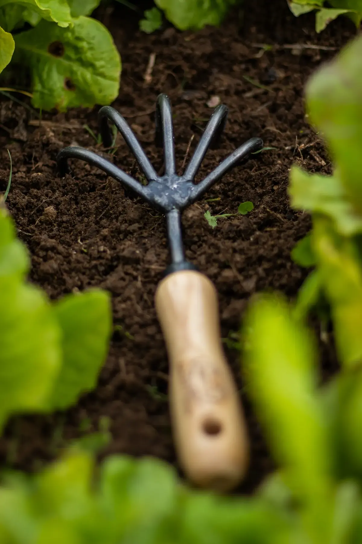 DeWit 5-Tine Hand Cultivator