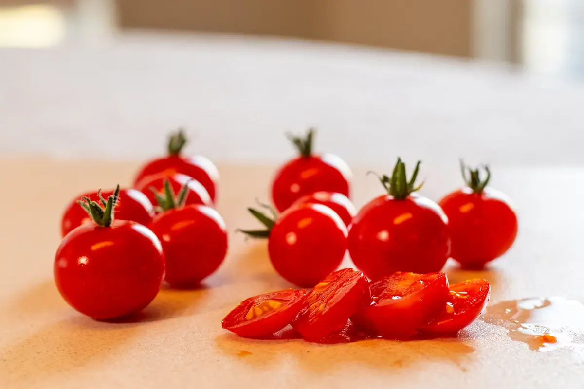 Pigmy Micro Dwarf Tomato