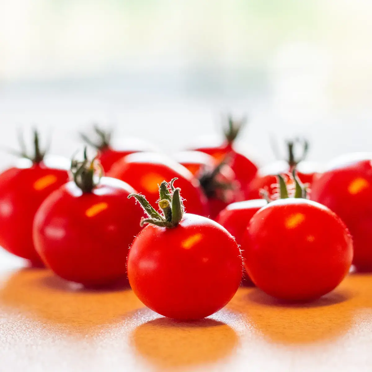 Pigmy Micro Dwarf Tomato