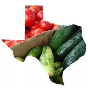 Texas Vegetable Garden Starter