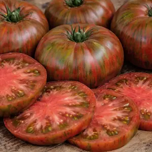 Fred's Tie Dye Tomato