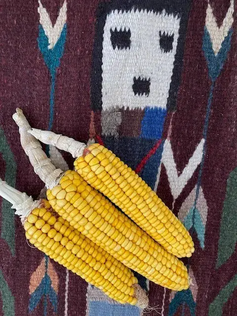 Homestead Hero Flour Corn - 12 Row