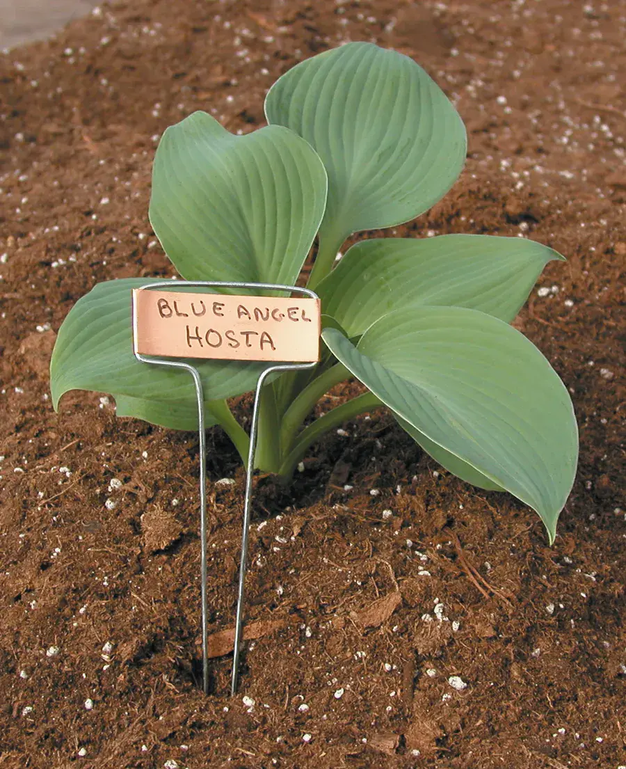 10" Copper Garden Labels (10 Pack)
