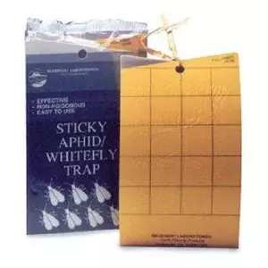 Yellow Sticky Aphid Whitefly Traps (Qty 5)