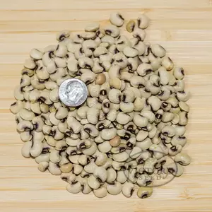 Coronet Southern Pea (Improved Pinkeye Purplehull)