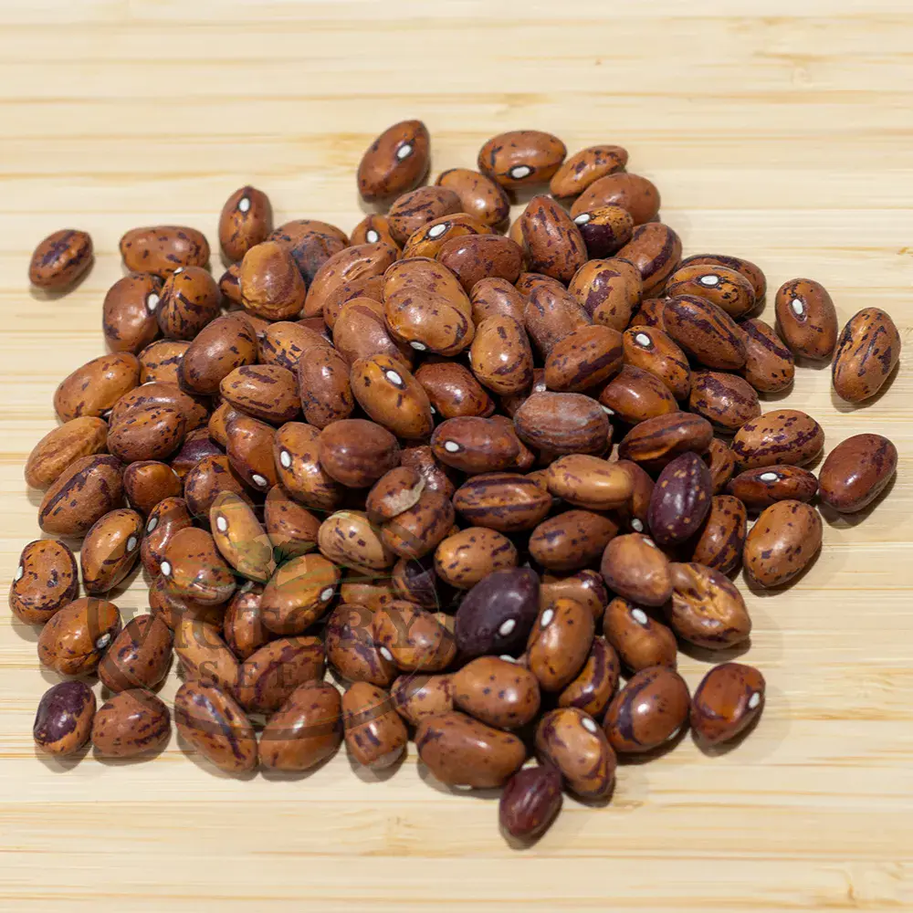 Borlotto (Borlotti) Italian Garden Bean