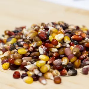Calico Popcorn
