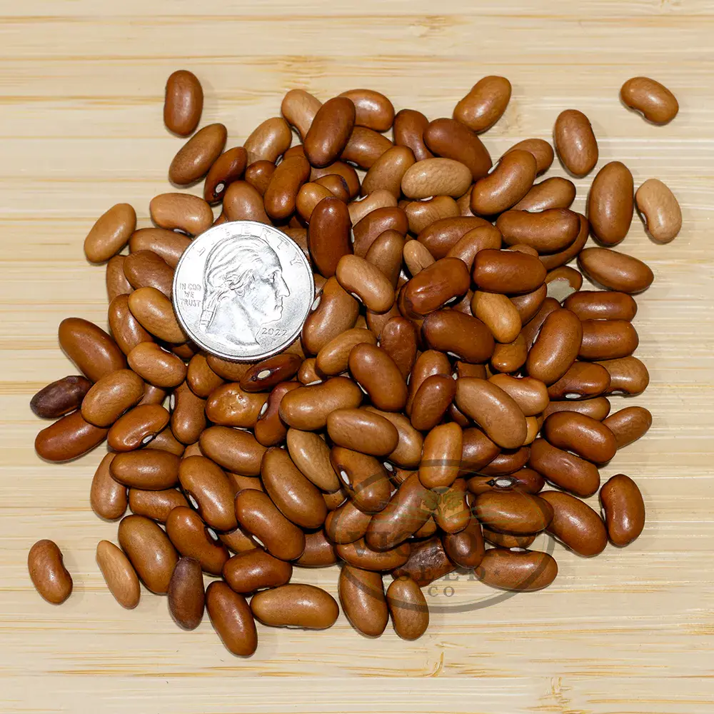 Bountiful Garden Bean