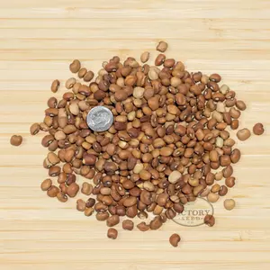 Dixielee Southern Pea