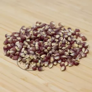Early Pink Popcorn