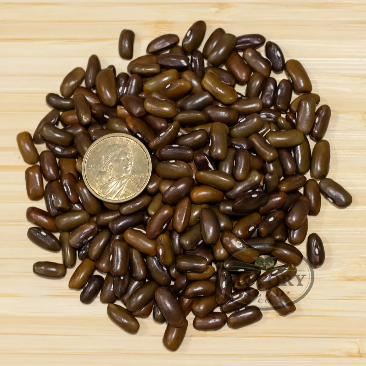 George's Fowler Pole Green Garden Bean