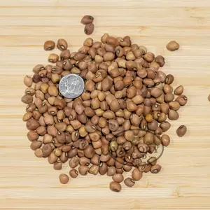 Mississippi Silver Southern Pea
