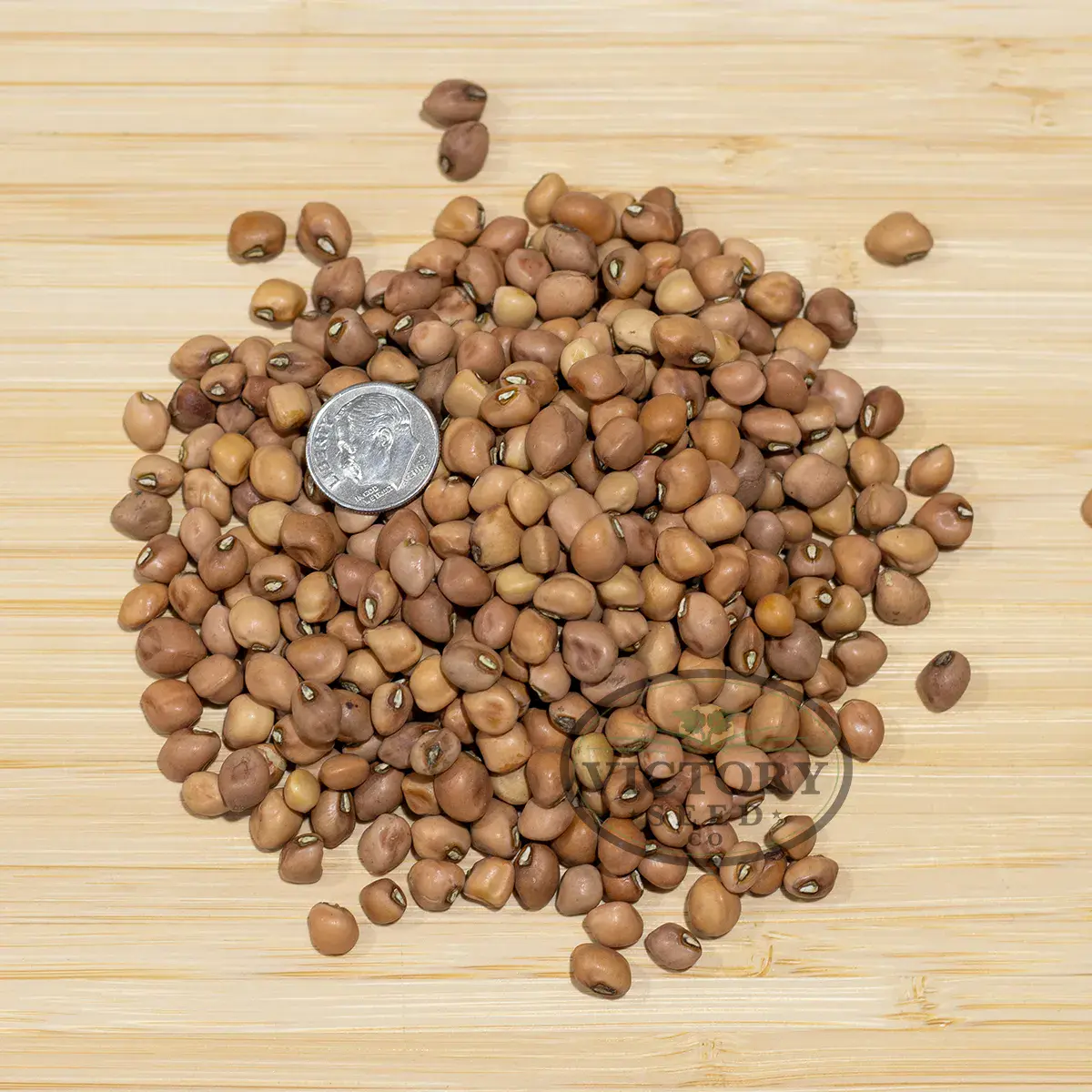 Mississippi Silver Southern Pea