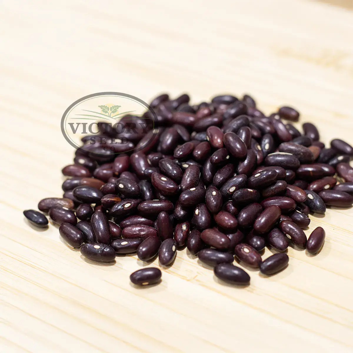 Provider Garden Bean