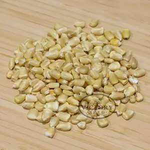 Trucker's Favorite White Dent Corn