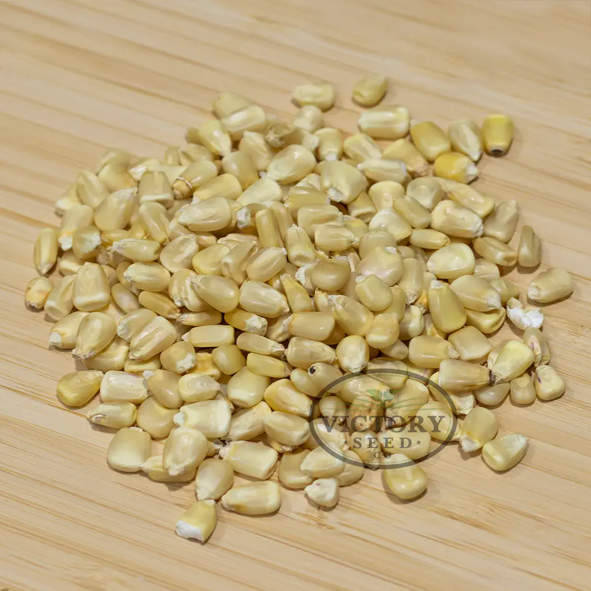 Trucker's Favorite White Dent Corn