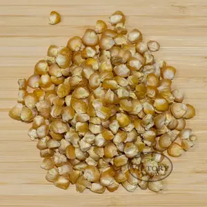 Sunshine Sweet Corn