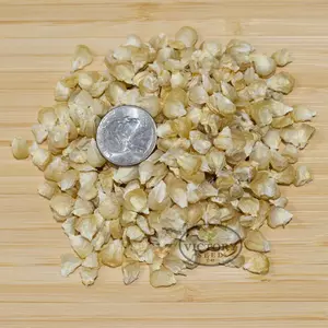 Six Shooter Sweet Corn