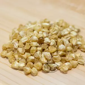 Stowell's Evergreen Sweet Corn
