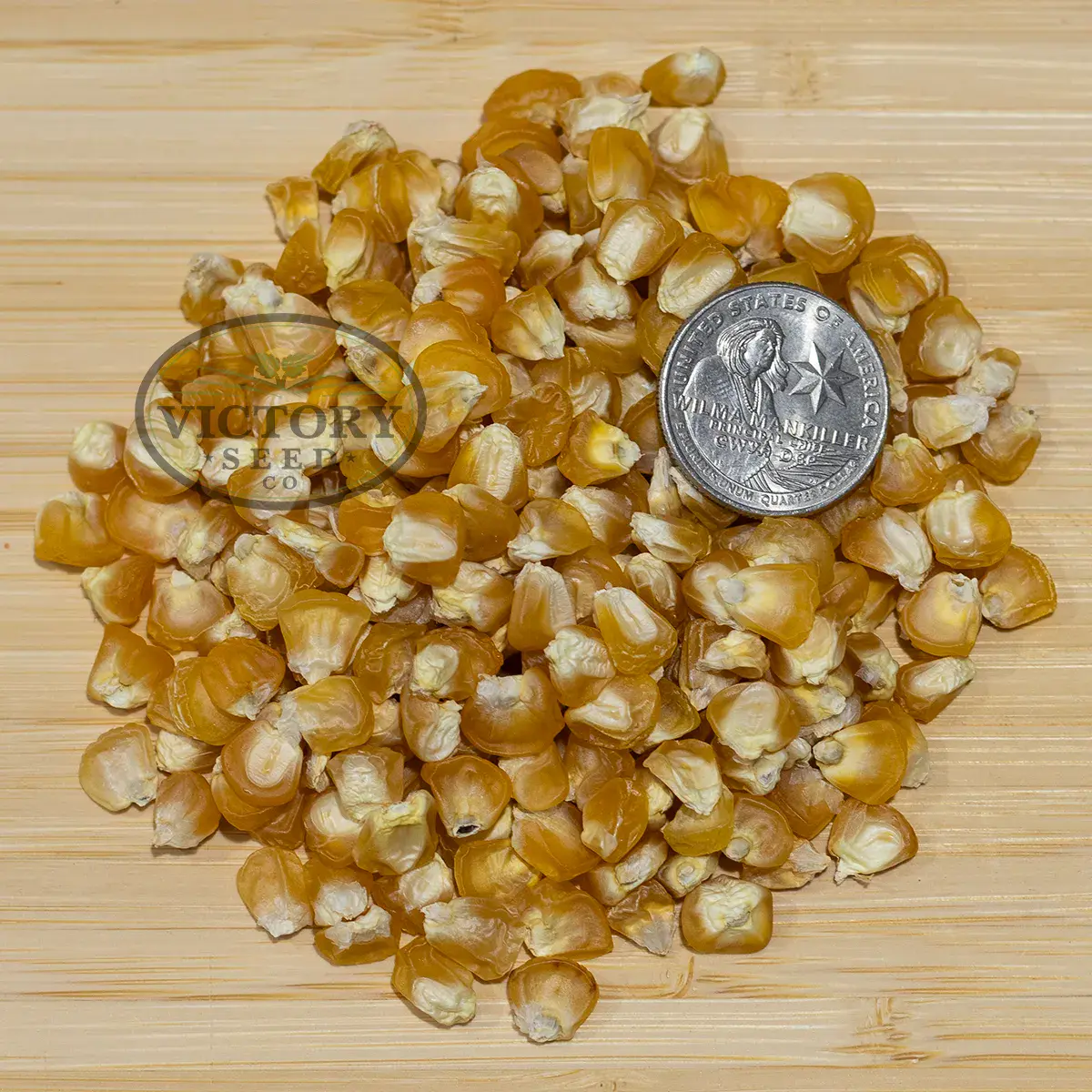 Yukon Chief Sweet Corn