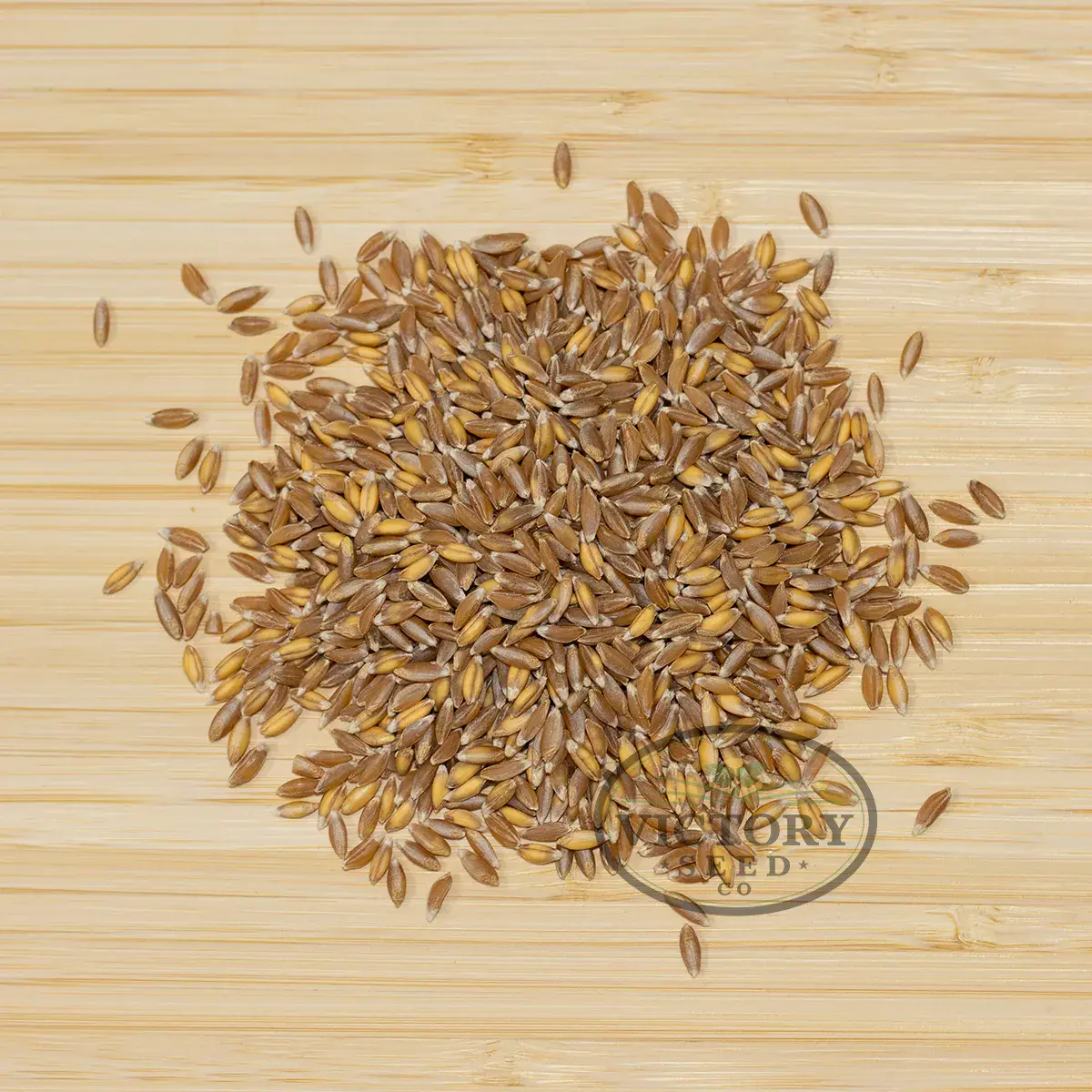 Emmer Wheat