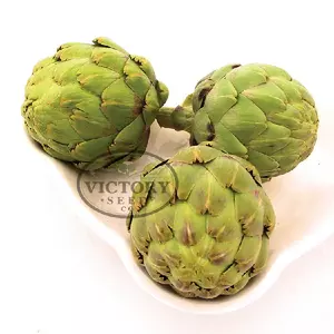 Tavor Artichoke