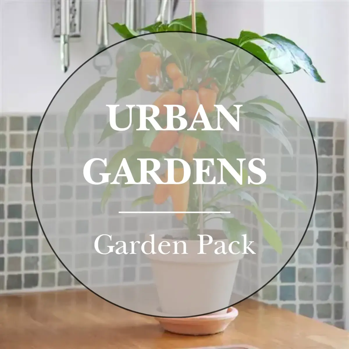 Urban Gardening Vegetable Seeds Pack