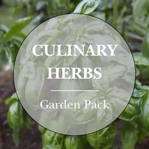 Culinary Herbs Garden Pack