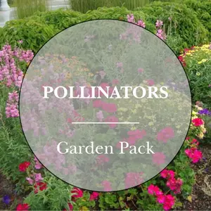 Pollinators Garden Pack