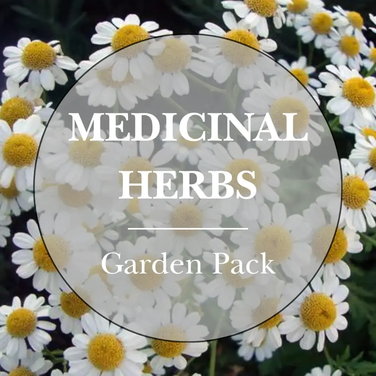 Medicinal Herbs Garden Pack